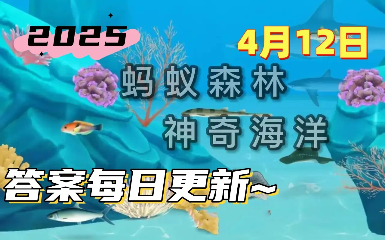 /faq/31231.html